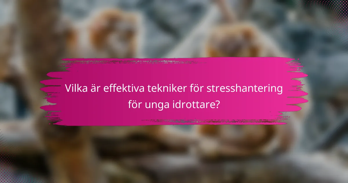 Vilka är effektiva tekniker för stresshantering för unga idrottare?